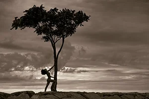 silhouette woman tree seaside sunset Silver Sands Milford CT